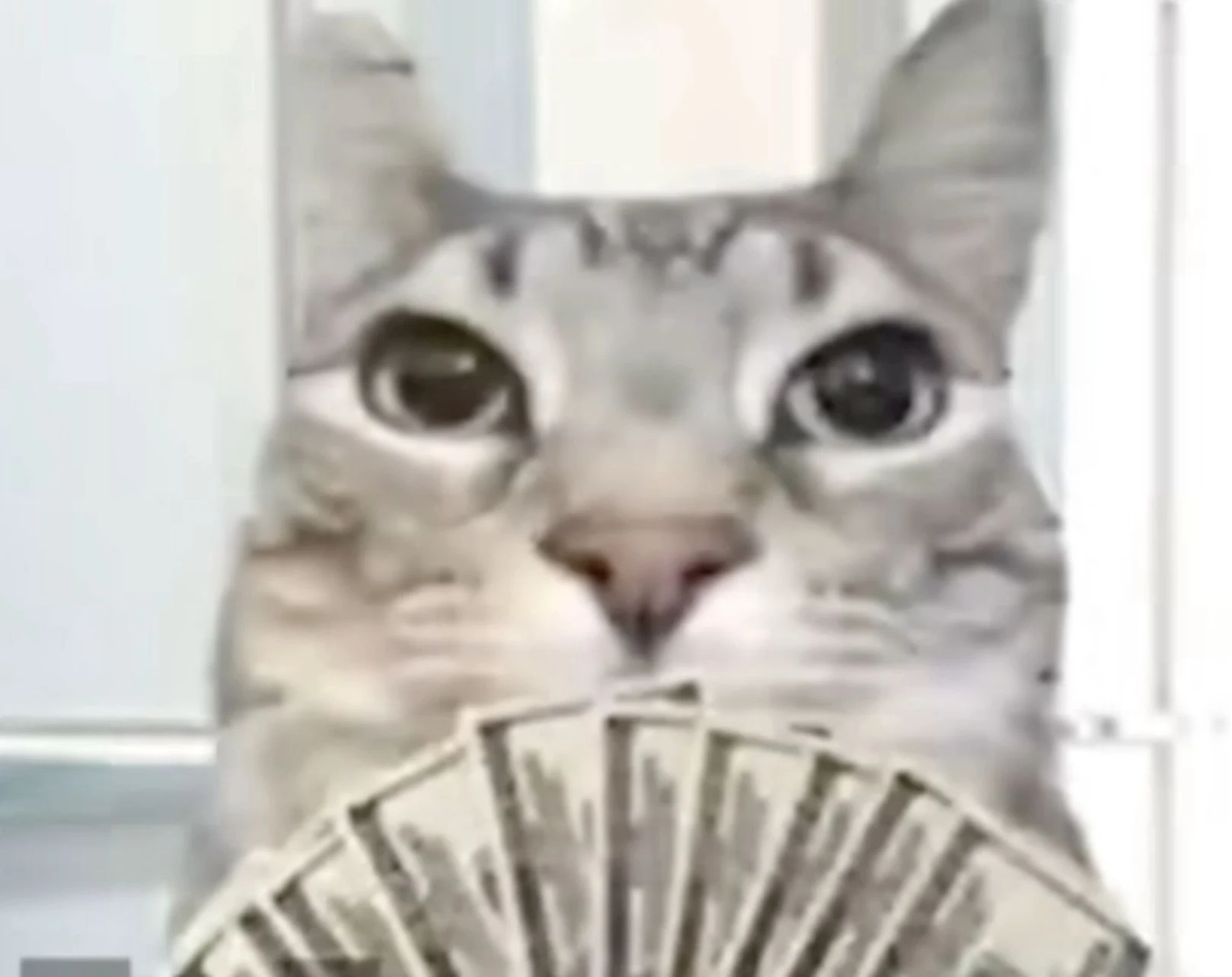 Thẻ Bet Là Gì Giải Mã Mọi Điều Bạn Cần Biết Về Thẻ Cược_1